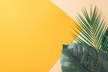 Artistic arrangement of tropical palm and monstera leaves against a dual-tone yellow and white...