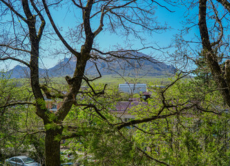 mountain forest