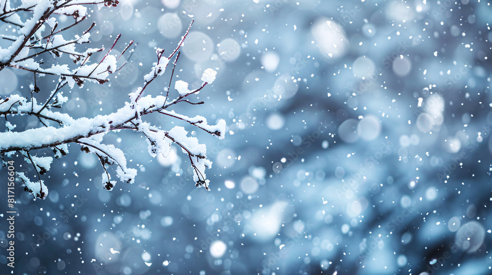 Poster snow on branch, snowy background. snow-covered branch with a snowy background creating a serene wint