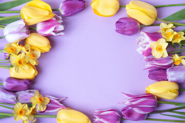 Spring flower frame made of purple and yellow tulips and yellow daffodils on a purple background with a place for text in the middle. Flat lay, copy space