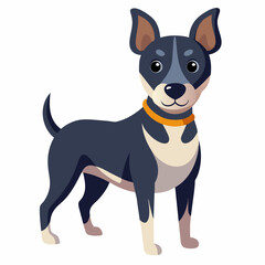 Collared dog of Fawn color breed standing on white background