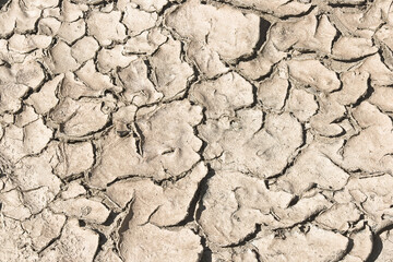 Cracked, arid, and desolate ground, a consequence of desertification and an arid climate - Infertile land parched by the sun