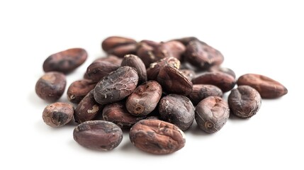 realistic cocoa beans isolated on a white background