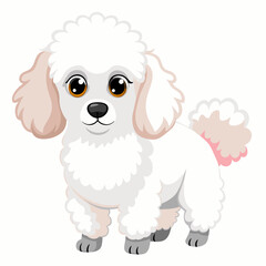 White poodle with pink tail on white background Dog breed