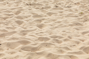 background of harmonic sandy beach