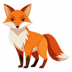Cartoon red fox with whiskers standing on white background