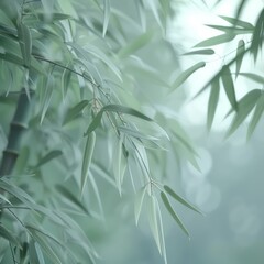 bamboo forest, natural and soft lighting, harmonious atmosphere, white and jade colors
