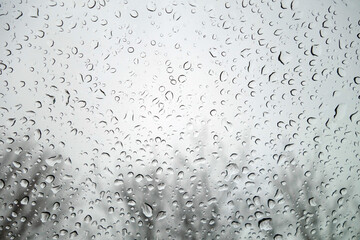 View on winter trees and sky through wet windshield with rain drops.