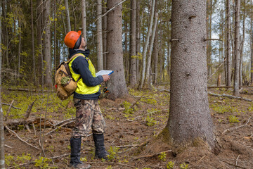 Male ecologist works in the forest. A forest engineer inspects forest plantations.