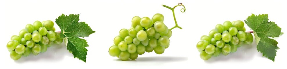 broccoli set isolated on white background