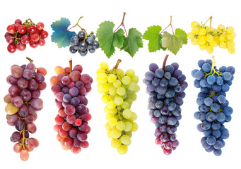 Colorful bunch of grapes isolated on a background