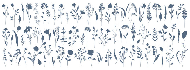  Set of elegant silhouettes of flowers, branches, leaves, wildflowers and herbs. Thin hand drawn vector botanical elements