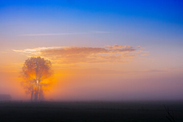 Sunrise in a country meadow outside the city