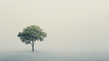 A lone tree set against a blank backdrop perfect for enhancing graphic elements in celebration of World Environment Day