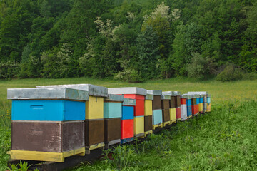 Colourful hives or apiary at green meadow field. Honey production concept.