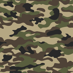 
classic camouflage pattern, seamless texture, vector illustration