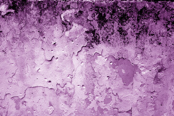 Grungy dirty plaster wall with peeling paint. Violet color style.