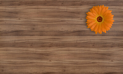 Rosewood Reverie Wood Texture Backdrop