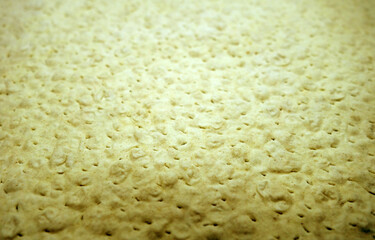 Tortilla pita bread texture and surface.