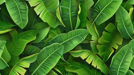 Fototapeta premium Banana leaf pattern background.