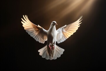 Obraz premium A White Dove With Open Wings Flying On a Black Background With A Warm Light Shining Above It