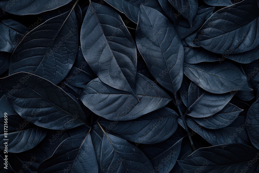 Poster a close up of dark green leaves with a black background. the leaves are arranged in a way that creat