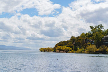 Gran lago de pucon