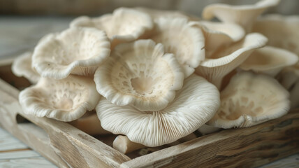 A wooden tray filled with fresh oyster mushrooms.
