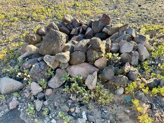 The desert campground firepit flickers warmly, casting shadows as campers gather under starry skies, sharing tales and savoring marshmallows.