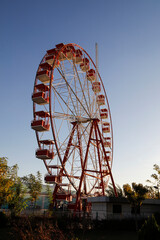 Amusement park carousel