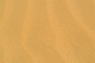 Flat sand beach background at summer sunshine. The meeting place of the desert and the sea for...