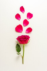 Creative layout made with red rose and roses petals. Minimal nature background. Spring flower concept.