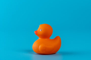 Orange rubber duck on blue background. Summer minimal concept.