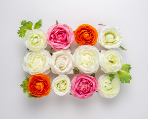 Creative layout of beautiful rose flowers on white background. Minimal holiday concept.