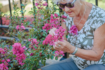 Happy senior woman smelling and touching perple flowers at summer garden