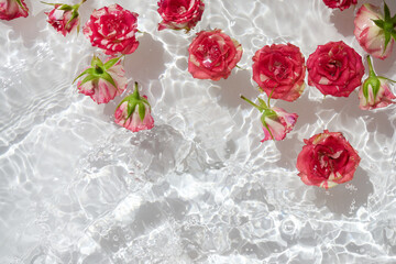 Spa, cosmetic background. Floating Pink Roses in Sparkling WaterFloating Roses in Sunlit Water
