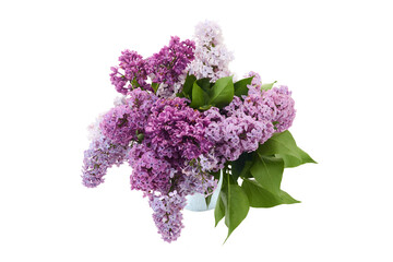 Fresh Lilac Bouquet on White Background