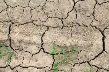 Cracked ground due to heat