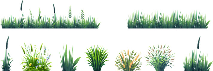 Green grass seamless border. Bunch of spring grass. Realistic meadow . Green field. Spring botanical elements . Tufts of gardens plants .Lawn grass. Spikelet