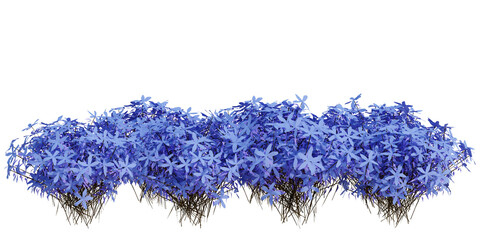 3d render brush tree isolated on white