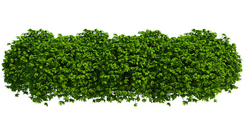 Obraz premium 3d render brush tree isolated on white