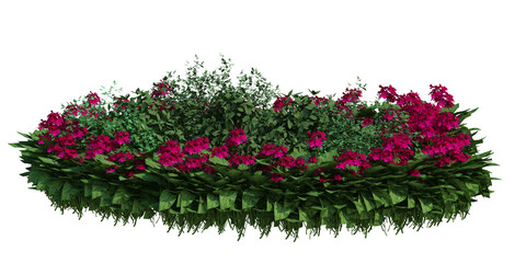 3d render brush tree isolated on white