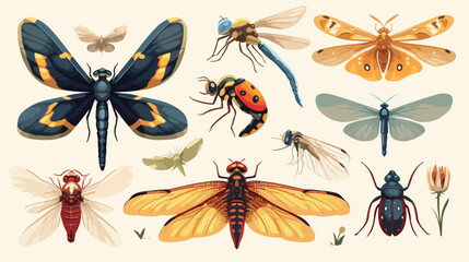Set of insects like dragonfly butterfly ladybird an