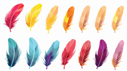 Set of isolated bird feathers colorful fluffy quill