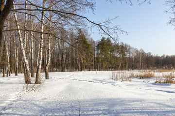 A sunny day in a city park, early spring, a calm bright snowy evening in the spring, the snow is melting from the bright sun, the trees are illuminated by the sun's rays.
