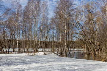 A serene winter scene features a birch grove with snow-covered ground and bare trees, overlooking a river with patches of melting snow and water reflections.