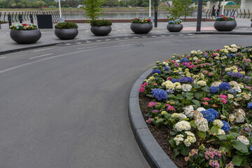 A serene urban setting featuring a circular arrangement of colorful hortensias in grey pots, bordered by a paved road and a grassy area. The scene is peaceful