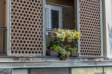  An old urban building facade with a balcony featuring circular holes and metal bars, adorned with green plants and white flowers, contrasting the decay with a touch of nature