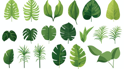 Set of tropical palm leaves vector illustration iso