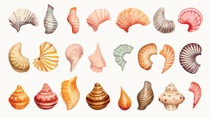 Set of various beautiful mollusk sea shells sketch